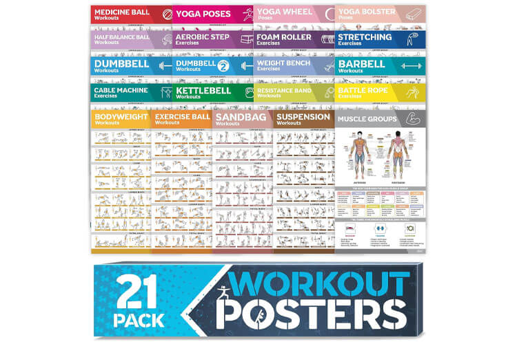  Laminated Large Workout Poster Set 