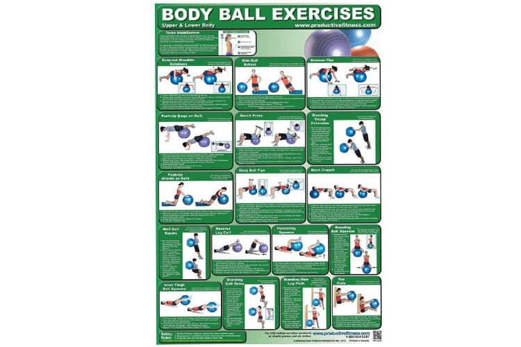 Productive Fitness Home Gym Work Out Poster