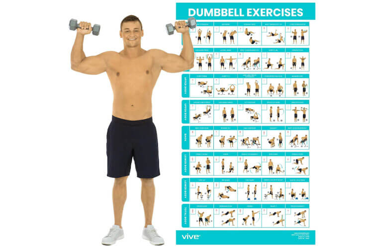Vive Dumbbell Workout Poster